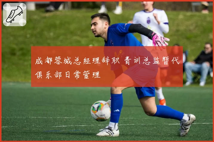 成都蓉城总经理辞职 青训总监暂代俱乐部日常管理
